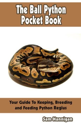 The Ball Python Pocket Book : Your Guide To Ball Python Keeping, Breeding and Feeding Python Regius