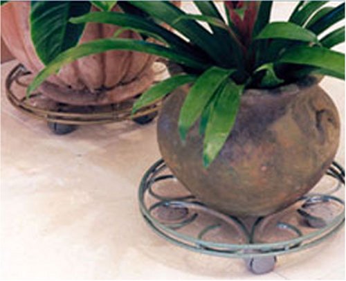 deluxe saucer plant caddy rust colored  more detail click!