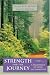 Strength for the Journey: A Pilgrimage of Faith in Community
