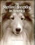 The Shetland Sheepdog in America