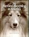   - The Shetland Sheepdog in America