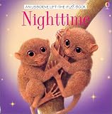 Nighttime (Usborne Life-the-Flap Book)