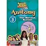 Standard Deviants School - Anatomy, Program 3 - The Nervous System (Classroom Edition)