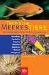 Tropische Meerestiere