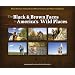 The Black & Brown Faces in America's Wild Places: African Americans Making Nature and the Environment a Part of Their Everyday Lives (Watchable Wildlife (Adventure Publications))