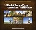 The Black & Brown Faces in America's Wild Places: African Americans Making Nature and the Environment a Part of Their Everyday Lives (Watchable Wildlife (Adventure Publications))