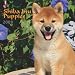 Shiba Inu Puppies 2009 7X7 Mini Wall Calendar