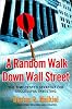 A Random Walk Down Wall Street: The Time-tested Strategy for Successful Investing