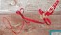 Sheep Show Halter with Lead, 3/4" x 5' Red