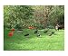Orange birds Places Poster Print by Bel Phos, 10x8