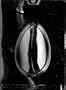 1/2 LB. EGG Easter Candy Mold chocolate