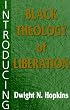 Introducing Black Theology of Liberation