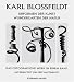 Karl Blossfeldt: Urformen der Kunst, Wundergarten der Natur : das fotografische Werk in einem Band