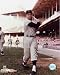 Orlando Cepeda San Francisco Giants 8x10 Photo