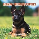 German Shepherd Puppies 2007 Mini Calendar