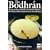 The Bodhran: An Easy to Learn Method for the Complete Beginner Showing the Different Regional Styles and Techniques
