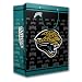 Jacksonville Jaguars Team Logo Gift Bag (Medium)