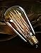 ChiKoo ST64 -1 Pack Vintage Edison Bulbs-Squirrel Cage Filament-60 Watt Antique Edison Bulbs- Dimmable