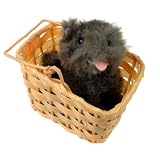 Toto in Basket