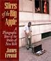 Slices of the Big Apple: A Photographic Tour of the Streets of New York