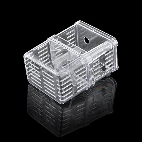 Aquarium Fish Breeding Hatchery Young Fish Incubator Isolation Plastic Box Fish Egg Hatchery