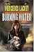 Book Burning Water (Diana Tregarde Investigation)