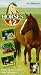 Horses A to Z