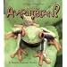 What is an Amphibian? (The Science of Living Things)
