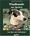Image of Windhunde aus Spanien: Vom Jäger zum Familienhund
