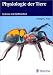 Physiologie der Tiere. Systeme und Stoffwechsel bei Bücher zum Namen: 513XYSBTVCL._SL75_