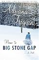 Home to Big Stone Gap: A Novel (Big Stone Gap Novels (Hardcover))