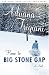 Search : Home to Big Stone Gap: A Novel