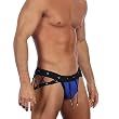 Tsunami Swimwear Brief Cut Bikini Swimwuit By Gregg Homme