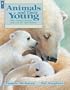 Animals and Their Young: How Animals Produce and Care for Their Babies (Animal Behavior)