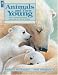 Animals and Their Young: How Animals Produce and Care for Their Babies (Animal Behavior)