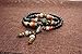 AmorWing Natural Obsidian and Lotus Seed Buddhist Prayer Beads Tibetan Mala Necklace Bracelet