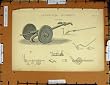 antique ploughs for sale