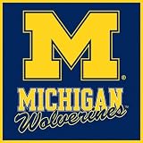 Michigan Wolverines Paper Cube