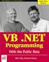 VB.NET Programming with the Public Beta