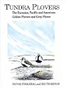 Tundra Plovers