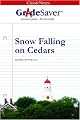 GradeSaver(tm) ClassicNotes Snow Falling on Cedars