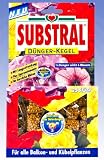Substral Langzeit Dünger-Kegel (T2)