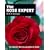 The Rose Expert