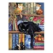 SunsOut On The Shelf Jigsaw Puzzle - 1000 Pieces