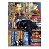 Favor SunsOut On The Shelf Jigsaw Puzzle - 1000 Pieces