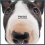 Artlist Collection the Dog 2005 Calendar Bull Terrier (Multilingual Edition)