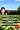 The Whitaker Family Presents: Horse Life (Nintendo DS)