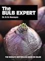 The Bulb