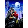 Robin: Search for a Hero