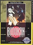 Budokan: The Martial Spirit